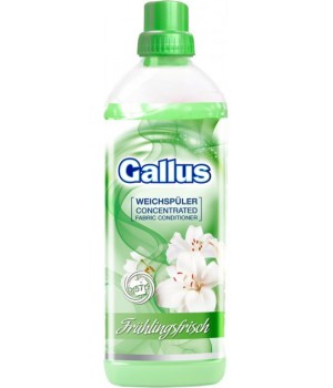 Ополіскувач для тканин Gallus Fruhllingsfrisch Weichspuler Concentrated Свіжі квіти 2 л (4251415301305)