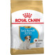 Сухой корм Royal Canin Jack Russell Terrier Puppy для щенков породы Джек Рассел Терьер 1,5 кг (3182550822121)