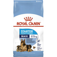Сухий корм Royal Canin Maxi Starter для цуценят великих розмірів у період відлучення 15 кг (3182550778787)