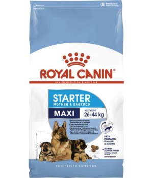 Сухий корм Royal Canin Maxi Starter для цуценят великих розмірів у період відлучення 4 кг (3182550778770)