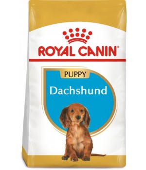 Сухой корм Royal Canin Dachshund Puppy для щенков породы Такса 1,5 кг (3182550722575)