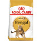 Сухий корм Royal Canin Bengal Adult для дорослих котів 2 кг (3182550864091)