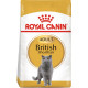 Сухий корм Royal Canin British Shorthair Adult для дорослих котів 400 г (3182550756402)