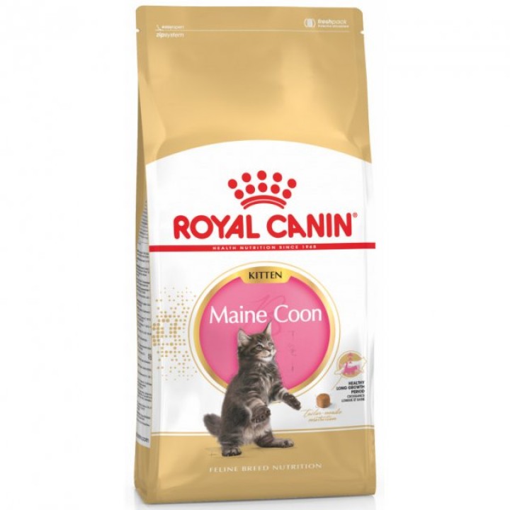 Сухий корм Royal Canin Maine Coon Kitten для кошенят породи Мейн-Кун 400 г (3182550770941)