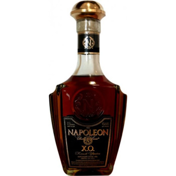 Бренди Украины NAPOLEON Charles Louis 0.5 л 40% (4820136352745)