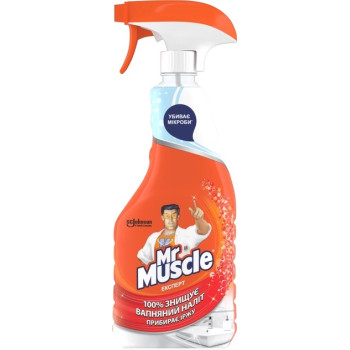 Чистящее средство Mr Muscle Эксперт для ванной 500 мл (4823002001099)