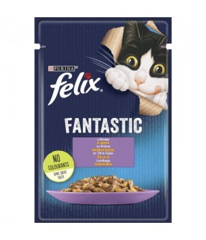 Вологий корм FELIX Fantastic для дорослих котів з ягням. Шматочки у желе. 85г (7613039838969)