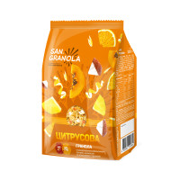 Гранола цитрусова San Granola 300 г (4820182202384)