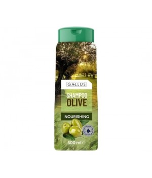 Шампунь Gallus Olive для волосся 500 мл (4251415301831)