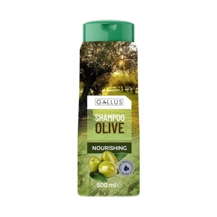 Шампунь Gallus Olive для волосся 500 мл (4251415301831)
