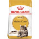 Сухий корм Royal Canin Mainecoon Adult для дорослих котів 10 кг (3182550710664)