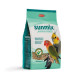 Padovan SunMix Parrocchetti - корм для середніх папуг, 750 г