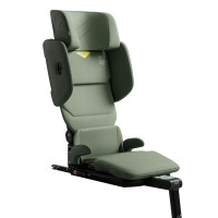 Автокресло-бустер Axkid Up Nordic Bloom Green