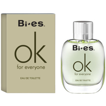 Туалетная вода Bi-Es Ok For Everyone мужская 100 мл (5905009043353)