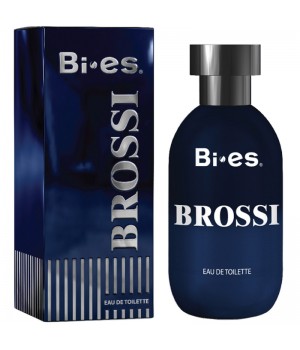 Туалетная вода Bi-Es Brossi Blue мужская 100 мл (5907699483952)