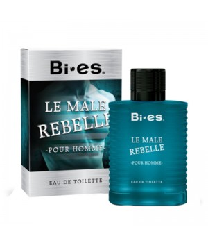 Туалетная вода Bi-Es Le Male Rebelle мужская 100 мл (5905009047047)