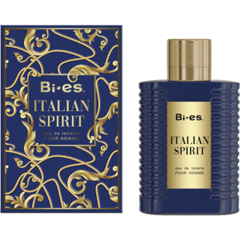 Туалетная вода Bi-Es Italian Spirit мужская 100 мл (5902734849915)