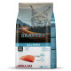 BRAVERY Salmon Adult Cat - сухой корм для взрослых котов, с лососем, 600 гр