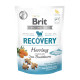 Функціональні ласощі для собак Brit Care Functional Snack Recovery Herring з оселедцем, 150 г