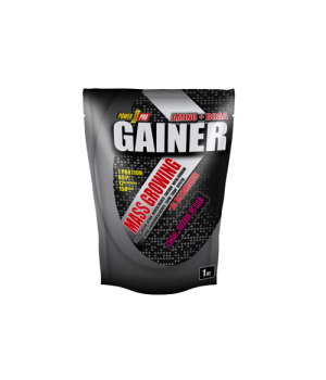 Гейнер Power Pro Gainer Лесная ягода, 1 кг (4820214004184)