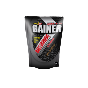 Гейнер Power Pro Gainer Шоколад, 1 кг (4820231512297)