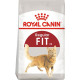 Сухой корм Royal Canin Fit 32 для домашніх та вуличних котів 400 г (3182550702157)
