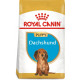 Сухой корм Royal Canin Dachshund Puppy для щенков породы Такса 1,5 кг (3182550722575)