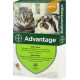 Капли от блох Bayer Advantage 40 для кошек и котят менее 4 кг, 1 пипетка