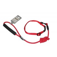Комплект нашийник з повідцем AnimAll для собак, S, 0.8×120 см/37-46 см, червоний