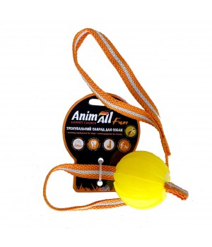 Игрушка AnimAll Fun для собак, тренинг мяч со шлейкой, 6 см, желтая