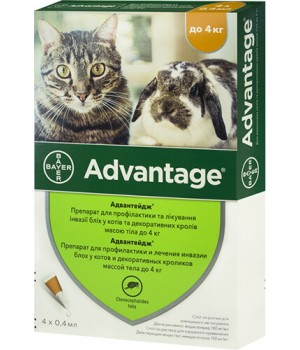 Краплі від бліх Bayer Advantage 40 для котів і кошенят менше 4 кг, 1 піпетка