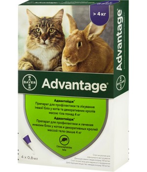Капли от блох и клещей Bayer Advantage 80 для кошек свыше 4 кг, 1 пипетка