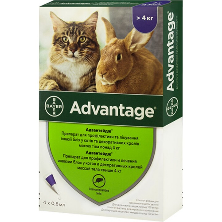 Капли от блох и клещей Bayer Advantage 80 для кошек свыше 4 кг, 1 пипетка