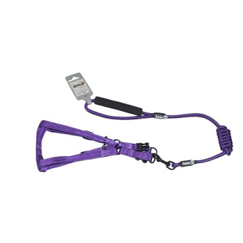 Комплект шлея с поводком AnimAll для животных, S, 0.8×120 см/37-46 см, синий