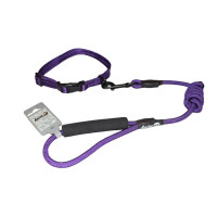 Комплект нашийник з повідцем AnimAll для собак, M, 1×120 см/27-42 см, темно-фіолетовий